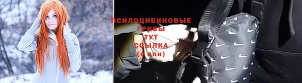 стафф Алзамай