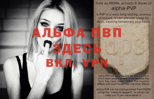 стафф Алзамай